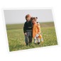 vidaXL Marcos de foto collage de pared/mesa 5 uds blanco MDF 59,4x84cm vidaXL Marcos de foto collage de pared/mesa 5 uds blanco MDF 59,4x84cm