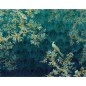 Komar Mural fotográfico Paradis 350x260 cm Komar Mural fotográfico Paradis 350x260 cm