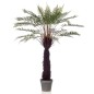 Emerald Helecho arbóreo artificial Dicksonia en maceta 125 cm Emerald Helecho arbóreo artificial Dicksonia en maceta 125 cm
