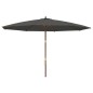 vidaXL Sombrilla jardín con poste de madera gris antracita 400x273 cm vidaXL Sombrilla jardín con poste de madera gris antracita 400x273 cm
