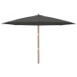 vidaXL Sombrilla jardín con poste de madera gris antracita 400x273 cm vidaXL Sombrilla jardín con poste de madera gris antracita 400x273 cm