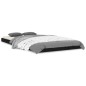 vidaXL Estructura de cama madera maciza de pino negro 100x200 cm vidaXL Estructura de cama madera maciza de pino negro 100x200 cm