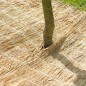 Nature funda protectora de paja de arroz para invierno 1x1,5 m 6030105 Nature funda protectora de paja de arroz para invierno 1x1,5 m 6030105