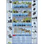 Ubbink Filtro de estanque FiltraPure 4000 Plus 26 L 1355971 Ubbink Filtro de estanque FiltraPure 4000 Plus 26 L 1355971