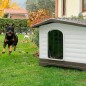 Ferplast Caseta para perros Villa 90 gris 88x72x65 cm 87255099 Ferplast Caseta para perros Villa 90 gris 88x72x65 cm 87255099