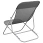 vidaXL Sillas de playa plegables 2 uds acero recubierto textilene gris vidaXL Sillas de playa plegables 2 uds acero recubierto textilene gris