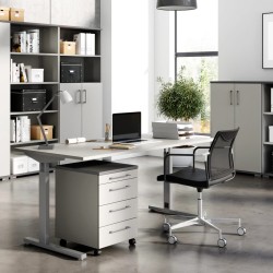 Germania Cajonera ruedas GW-Profi 2.0 42x49x61 cm gris claro y grafito