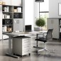 Germania Cajonera ruedas GW-Profi 2.0 42x49x61 cm gris claro y grafito Germania Cajonera ruedas GW-Profi 2.0 42x49x61 cm gris claro y grafito
