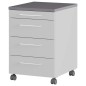 Germania Cajonera ruedas GW-Profi 2.0 42x49x61 cm gris claro y grafito Germania Cajonera ruedas GW-Profi 2.0 42x49x61 cm gris claro y grafito