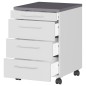 Germania Cajonera ruedas GW-Profi 2.0 42x49x61 cm gris claro y grafito Germania Cajonera ruedas GW-Profi 2.0 42x49x61 cm gris claro y grafito