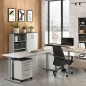 Germania Cajonera ruedas GW-Profi 2.0 42x49x61 cm gris claro y grafito Germania Cajonera ruedas GW-Profi 2.0 42x49x61 cm gris claro y grafito