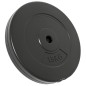 vidaXL Discos de pesas 2 uds 30 kg cemento