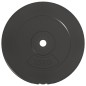 vidaXL Discos de pesas 2 uds 30 kg cemento