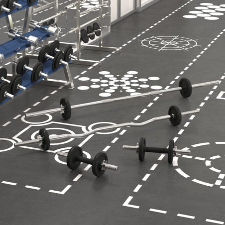 vidaXL Juego de barras y mancuernas de 30 kg hierro fundido