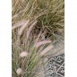 Emerald Planta de penissetum artificial en maceta de cinc 58 cm Emerald Planta de penissetum artificial en maceta de cinc 58 cm
