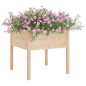 vidaXL Jardineras 2 uds madera maciza de pino 70x70x70 cm