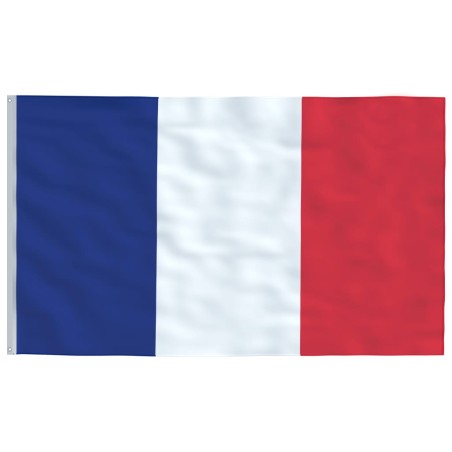 vidaXL Bandera de Francia 90x150 cm