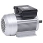 vidaXL Motor eléctrico monofásico aluminio 1,5kW/2HP 2 polos 2800 RPM vidaXL Motor eléctrico monofásico aluminio 1,5kW/2HP 2 polos 2800 RPM