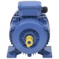 vidaXL Motor eléctrico trifásico aluminio 1,5kW/2HP 2 polos 2840 RPM vidaXL Motor eléctrico trifásico aluminio 1,5kW/2HP 2 polos 2840 RPM