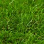 vidaXL Césped artificial verde 1x15 m/40 mm vidaXL Césped artificial verde 1x15 m/40 mm