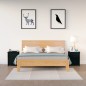 vidaXL Mesitas de noche 2 uds madera maciza de pino negra 50x35x61,5cm vidaXL Mesitas de noche 2 uds madera maciza de pino negra 50x35x61,5cm