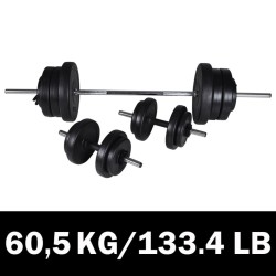 vidaXL Juego de pesas 2 de mancuernas 60,5 kg