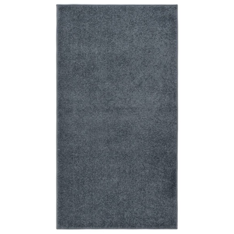 vidaXL Alfombra de pelo corto gris antracita 80x150 cm vidaXL Alfombra de pelo corto gris antracita 80x150 cm