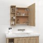 vidaXL Mueble con espejo y luces LED roble Sonoma 70x16,5x60 cm vidaXL Mueble con espejo y luces LED roble Sonoma 70x16,5x60 cm