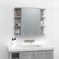 vidaXL Mueble con espejo y LED color gris Sonoma 70x16,5x60 cm vidaXL Mueble con espejo y LED color gris Sonoma 70x16,5x60 cm