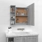 vidaXL Mueble con espejo y LED color gris Sonoma 70x16,5x60 cm vidaXL Mueble con espejo y LED color gris Sonoma 70x16,5x60 cm