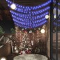 vidaXL Guirnalda de luces globos 8 funciones 20 m 200 LEDs azul vidaXL Guirnalda de luces globos 8 funciones 20 m 200 LEDs azul