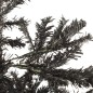 vidaXL Árbol de Navidad delgado negro 210 cm vidaXL Árbol de Navidad delgado negro 210 cm