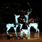 vidaXL Figuras familia de renos de Navidad blanco y plateado 201 LED vidaXL Figuras familia de renos de Navidad blanco y plateado 201 LED