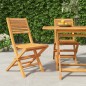 vidaXL Sillas de jardín plegables 2 uds madera maciza teca 47x62x90cm vidaXL Sillas de jardín plegables 2 uds madera maciza teca 47x62x90cm