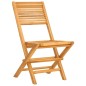 vidaXL Sillas de jardín plegables 2 uds madera maciza teca 47x62x90cm vidaXL Sillas de jardín plegables 2 uds madera maciza teca 47x62x90cm