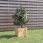 vidaXL Jardinera madera maciza de pino 31x31x31 cm vidaXL Jardinera madera maciza de pino 31x31x31 cm