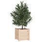 vidaXL Jardinera madera maciza de pino 31x31x31 cm vidaXL Jardinera madera maciza de pino 31x31x31 cm