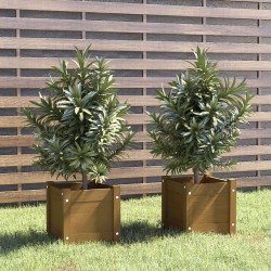 vidaXL Jardineras 2 uds madera maciza de pino marrón 31x31x31 cm 