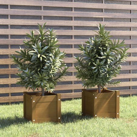 vidaXL Jardineras 2 uds madera maciza de pino marrón 31x31x31 cm 