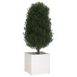 vidaXL Jardineras 2 uds madera maciza de pino blanco 60x60x60 cm vidaXL Jardineras 2 uds madera maciza de pino blanco 60x60x60 cm