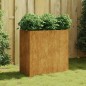 vidaXL Jardinera de acero corten 80x40x80 cm vidaXL Jardinera de acero corten 80x40x80 cm