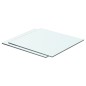 vidaXL Estantes 2 unidades panel de vidrio transparente 40x30 cm vidaXL Estantes 2 unidades panel de vidrio transparente 40x30 cm