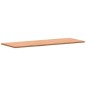 vidaXL Tablero de banco de trabajo madera maciza de haya 150x55x2,5 cm vidaXL Tablero de banco de trabajo madera maciza de haya 150x55x2,5 cm
