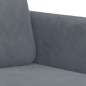 vidaXL Juego de sofás 2 piezas terciopelo gris oscuro vidaXL Juego de sofás 2 piezas terciopelo gris oscuro
