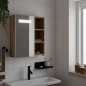 vidaXL Mueble de baño con espejo y luz LED roble 45x13x52 cm vidaXL Mueble de baño con espejo y luz LED roble 45x13x52 cm