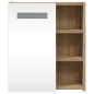 vidaXL Mueble de baño con espejo y luz LED roble 45x13x52 cm vidaXL Mueble de baño con espejo y luz LED roble 45x13x52 cm