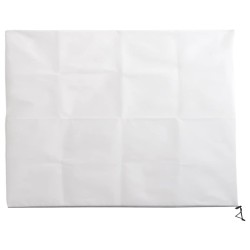 vidaXL Cubierta para plantas con cremallera 70 g/m² 3,93x3 m