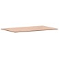 vidaXL Encimera de baño madera maciza de haya 100x60x1,5 cm vidaXL Encimera de baño madera maciza de haya 100x60x1,5 cm