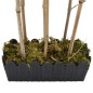 vidaXL Árbol de bambú artificial con 1288 hojas verde 180 cm vidaXL Árbol de bambú artificial con 1288 hojas verde 180 cm