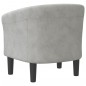 vidaXL Sillón de terciopelo gris claro vidaXL Sillón de terciopelo gris claro